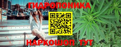 гидра Лениногорск