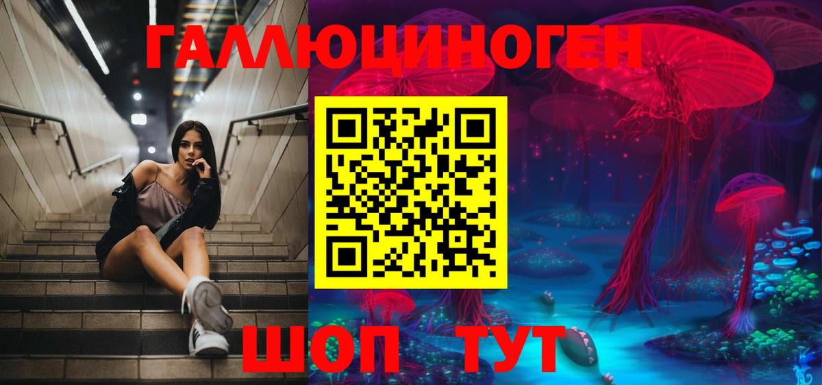 Псилоцибиновые грибы прущие грибы Богданович